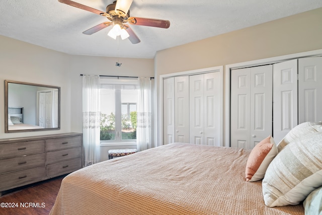 bedroom with a textured ceiling, ceiling fan, dark wood finished floors, and multiple closets