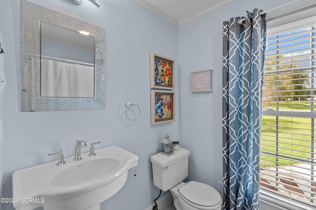 bathroom featuring a wealth of natural light, a textured ceiling, sink, and toilet