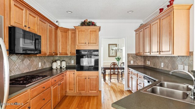 kitchen with ceiling fan, sink, ornamental molding, light hardwood / wood-style flooring, and appliances with stainless steel finishes