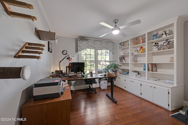 home office with dark hardwood / wood-style floors, ornamental molding, and ceiling fan