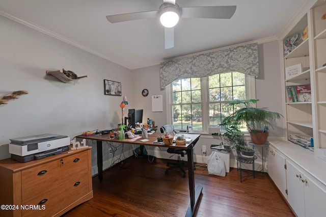 office space with crown molding, dark hardwood / wood-style flooring, and ceiling fan