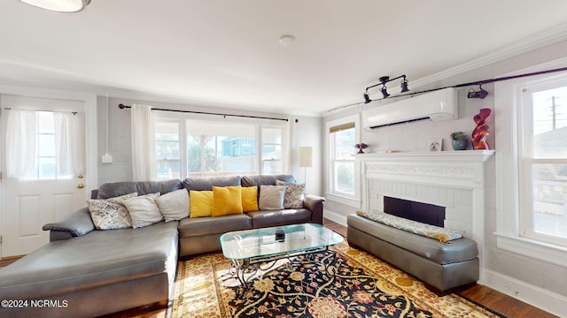 living room featuring ornamental molding, hardwood / wood-style flooring, a healthy amount of sunlight, and a wall mounted air conditioner