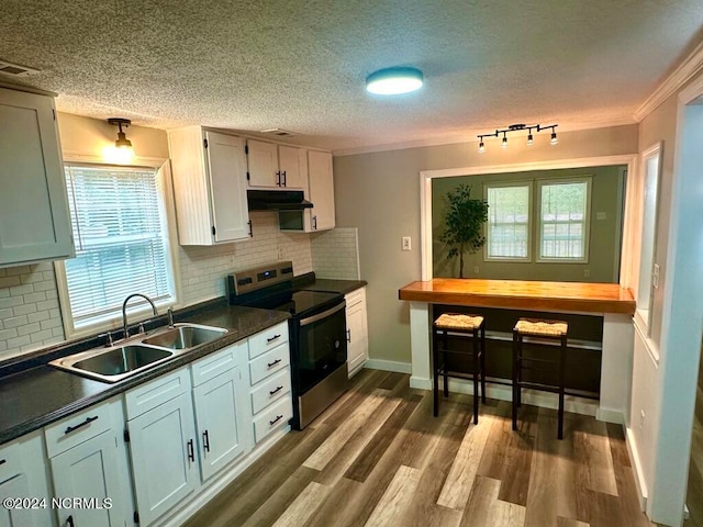 kitchen featuring ornamental molding, stainless steel range with electric stovetop, dark hardwood / wood-style floors, and a healthy amount of sunlight