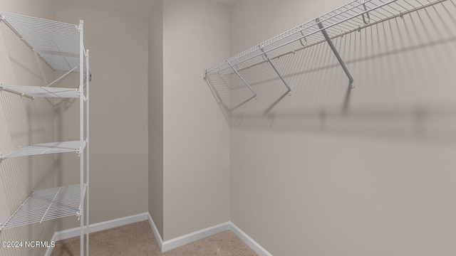 walk in closet featuring carpet