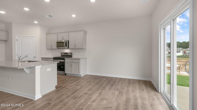 kitchen featuring light stone counters, light hardwood / wood-style floors, sink, stainless steel appliances, and a center island with sink