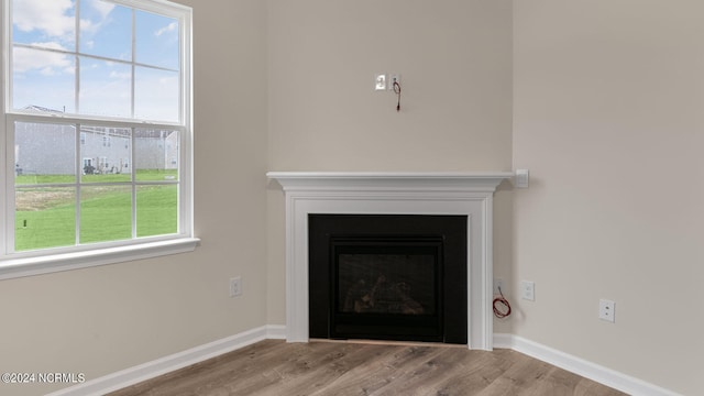 interior details with hardwood / wood-style flooring