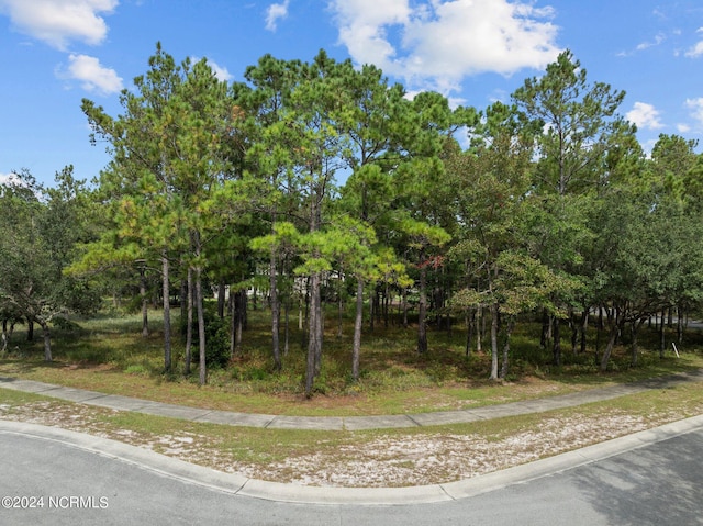 3751 Acadian Ave SW Unit 226, Supply NC, 28462 land for sale