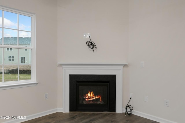 interior details with hardwood / wood-style floors