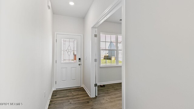 doorway with dark hardwood / wood-style floors