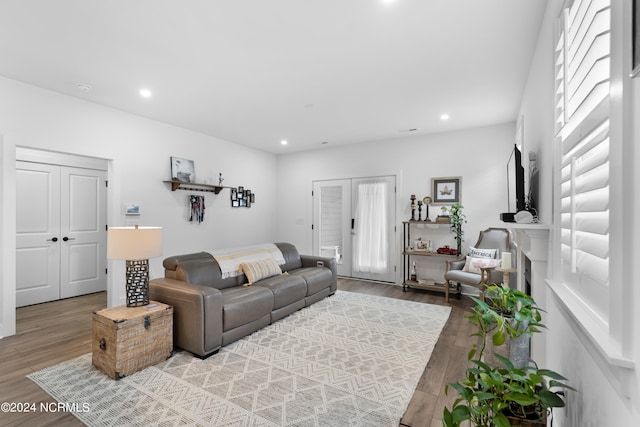 living room featuring hardwood / wood-style floors