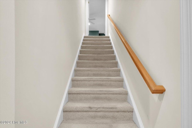 staircase with carpet