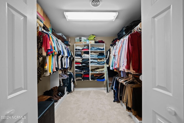 spacious closet with carpet