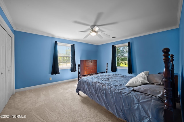 bedroom with ornamental molding, ceiling fan, carpet floors, and a closet