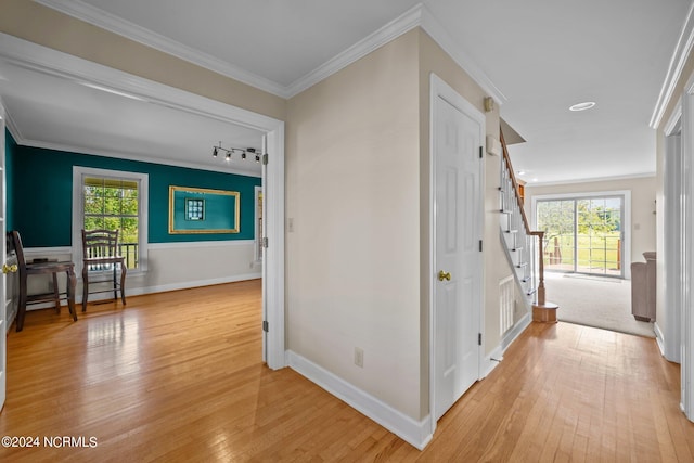 hall featuring rail lighting, ornamental molding, light hardwood / wood-style flooring, and a healthy amount of sunlight