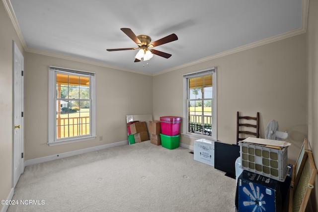 miscellaneous room featuring carpet floors, ornamental molding, and ceiling fan