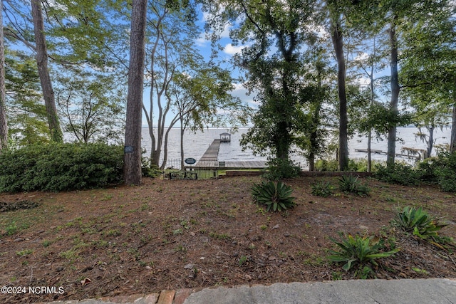 view of yard featuring a boat dock