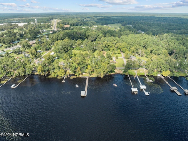 birds eye view of property with a view of trees and a water view
