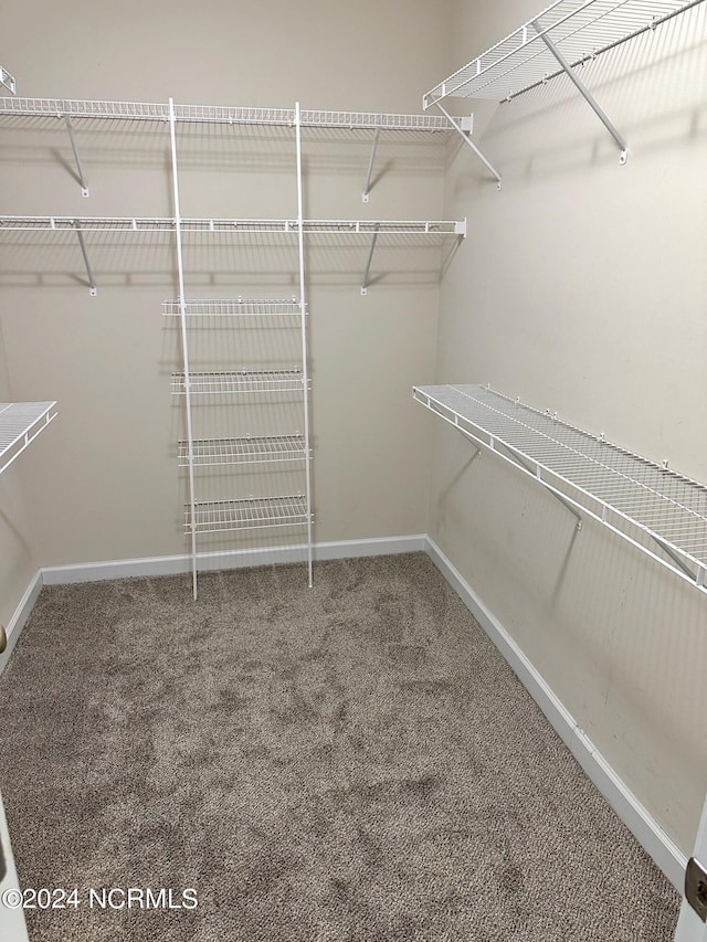 spacious closet with carpet