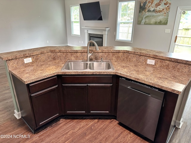 kitchen featuring wood-type flooring, sink, dark brown cabinetry, and stainless steel dishwasher