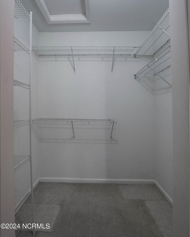 spacious closet with carpet