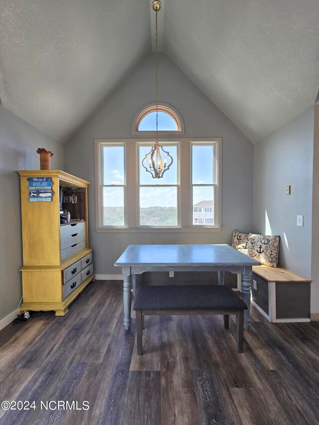 interior space with a notable chandelier, lofted ceiling, and dark hardwood / wood-style floors