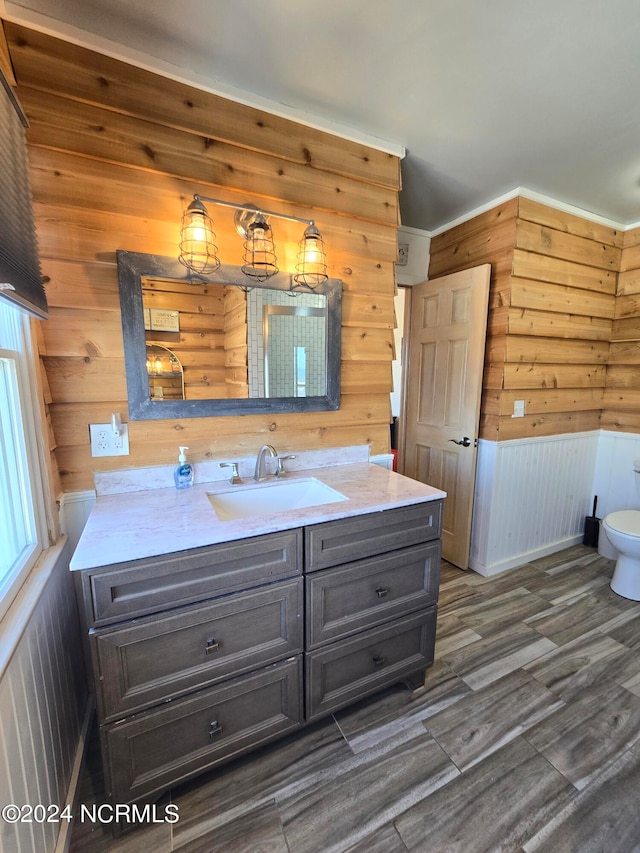 bathroom with wood walls, vanity, and toilet