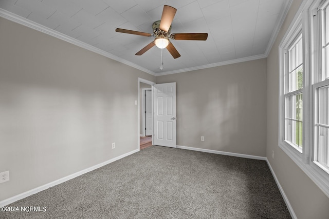 carpeted spare room featuring crown molding, a healthy amount of sunlight, and ceiling fan