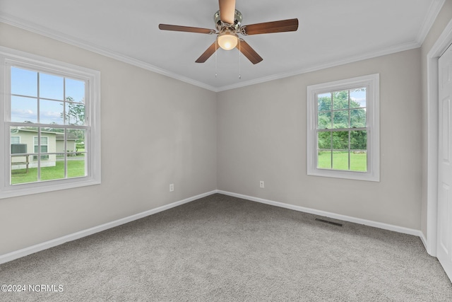 carpeted spare room with ceiling fan and ornamental molding