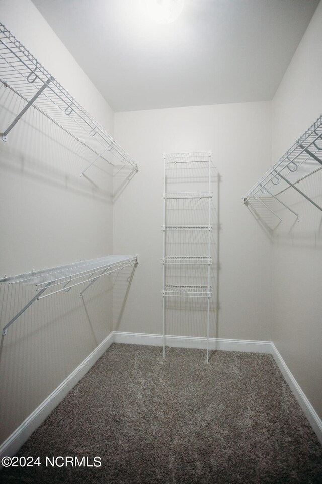 spacious closet with carpet flooring