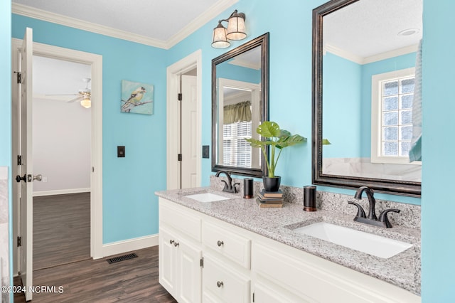 bathroom featuring vanity, a wealth of natural light, ornamental molding, and hardwood / wood-style flooring