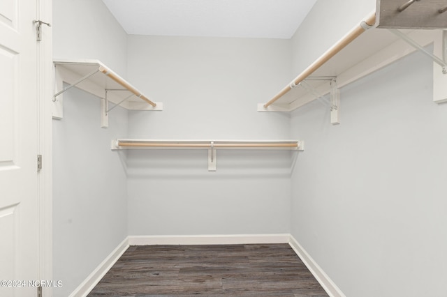 spacious closet with dark hardwood / wood-style flooring