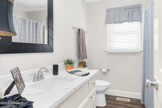 bathroom featuring toilet, vanity, and wood-type flooring