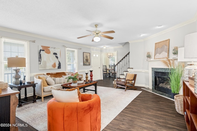 living room featuring ceiling fan, ornamental molding, and dark wood-type flooring