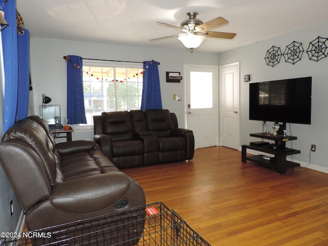 living room with ceiling fan and hardwood / wood-style flooring