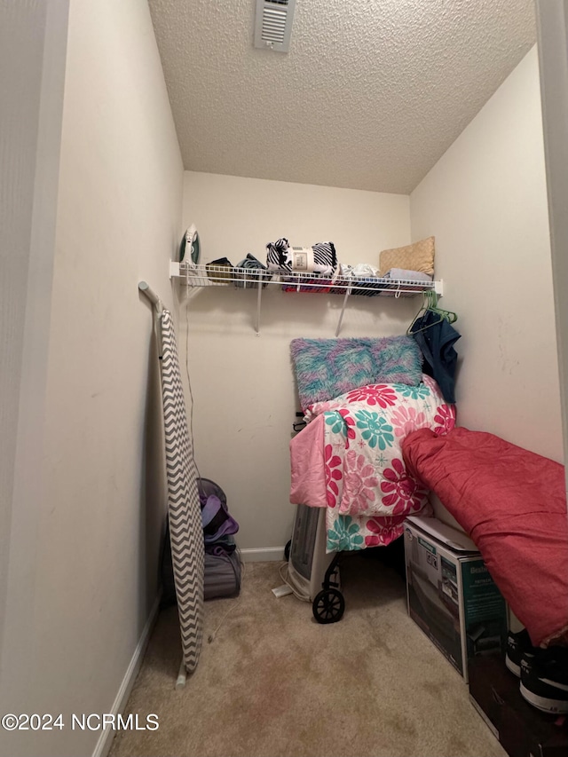 spacious closet with light colored carpet