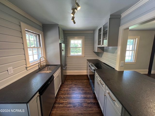 kitchen featuring track lighting, sink, wood walls, stainless steel appliances, and dark hardwood / wood-style flooring