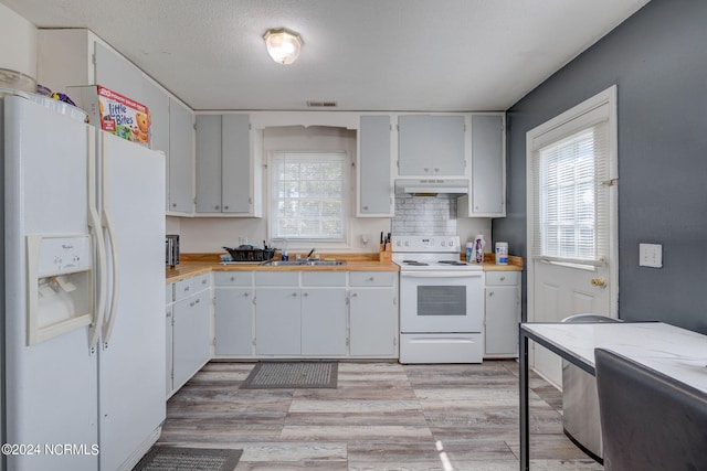 kitchen featuring sink, white appliances, a textured ceiling, light wood-type flooring, and decorative backsplash