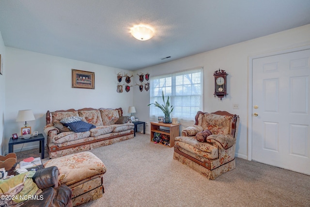 living room featuring carpet floors