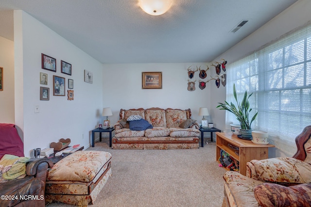 living room featuring carpet and a textured ceiling