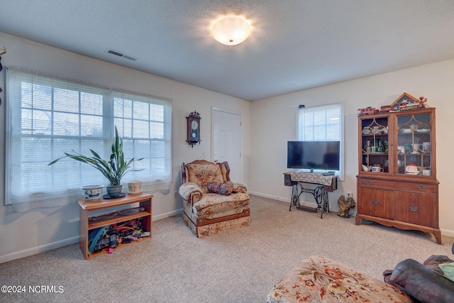 carpeted living room with a textured ceiling and plenty of natural light