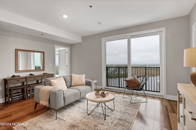 living room featuring hardwood / wood-style flooring