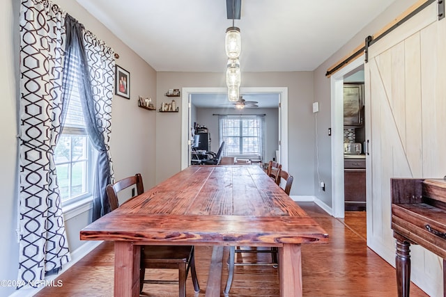 dining room featuring ceiling fan, a barn door, and dark hardwood / wood-style flooring