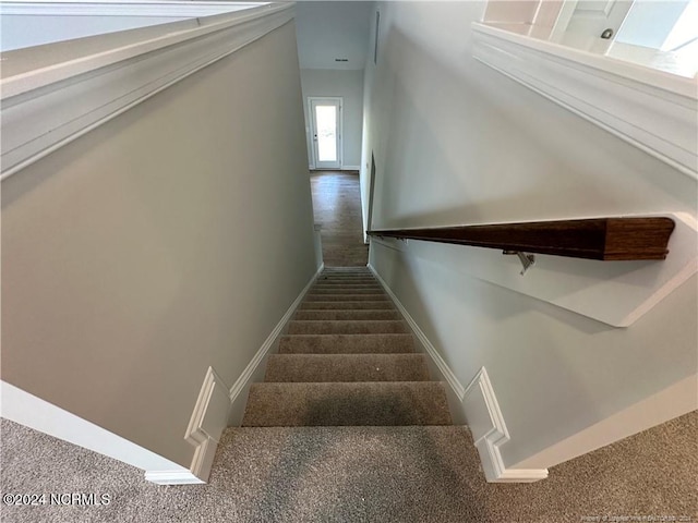 staircase featuring carpet flooring