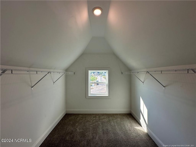 walk in closet featuring vaulted ceiling and dark carpet