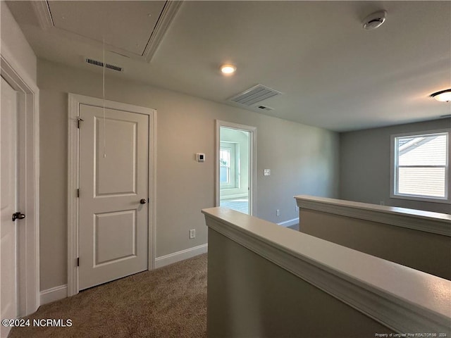 hallway featuring carpet floors