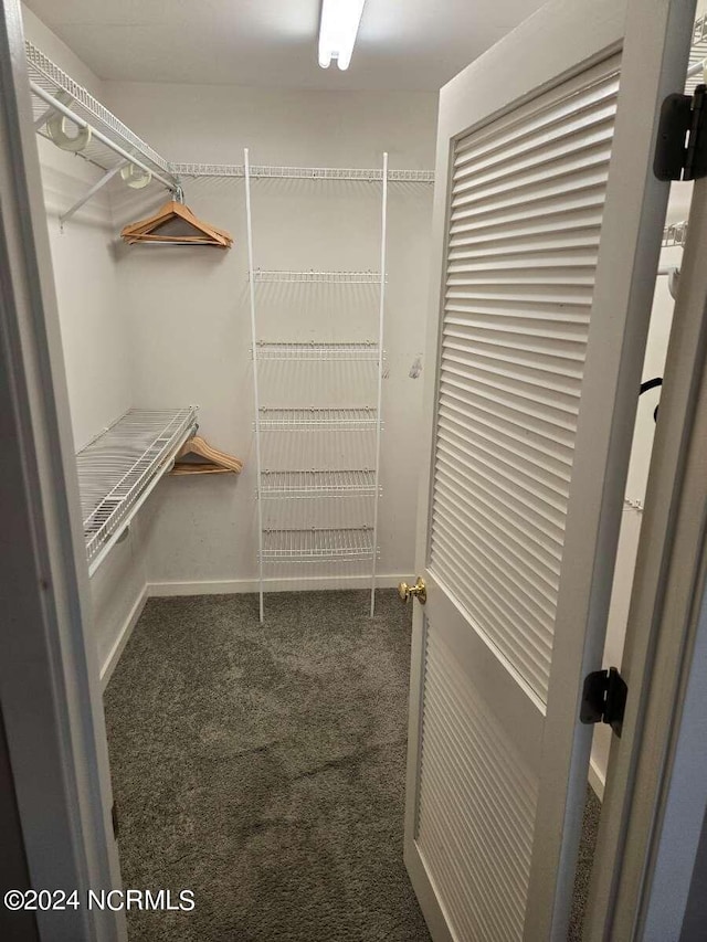 spacious closet with carpet