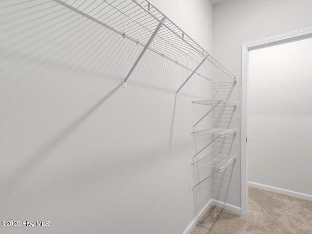 spacious closet featuring light colored carpet