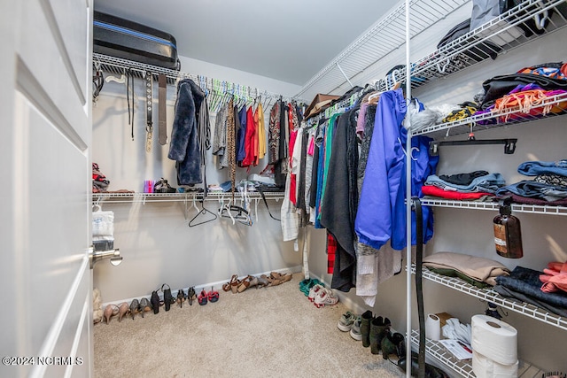 walk in closet featuring carpet floors