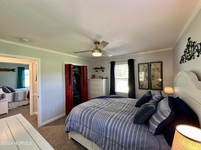 carpeted bedroom with multiple windows, ornamental molding, a textured ceiling, and a closet