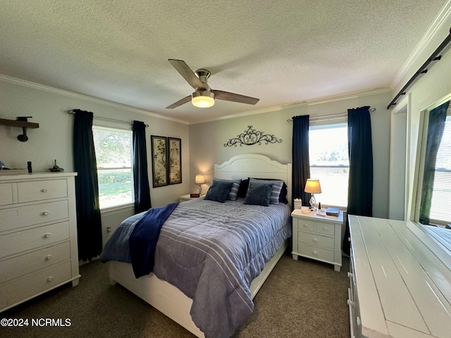 carpeted bedroom with multiple windows and ornamental molding